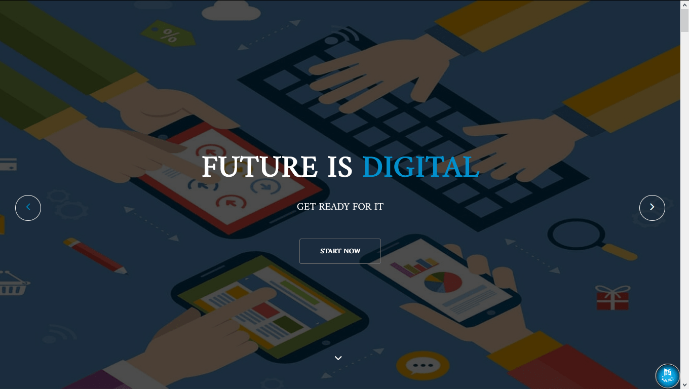 Mohammed Ali Elzain - Full Stack Web Developer
